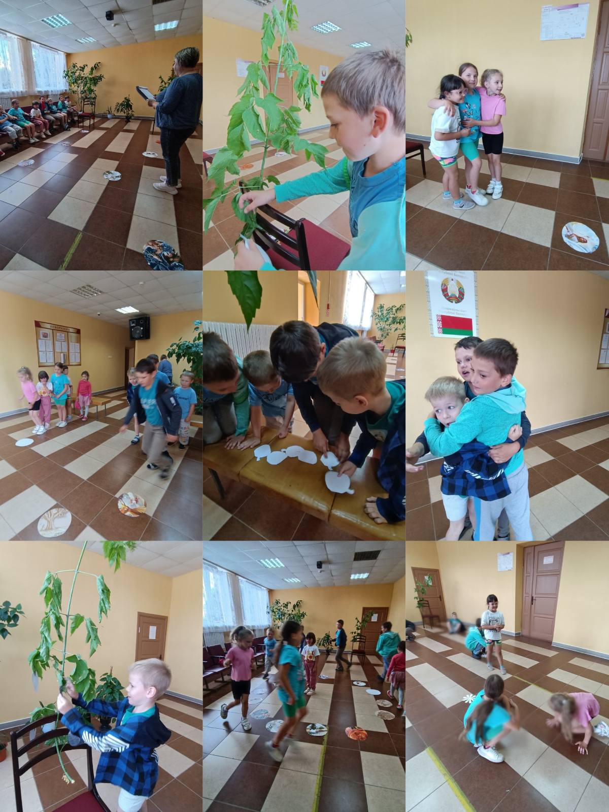 изображение viber 2024 06 13 16 44 38 733