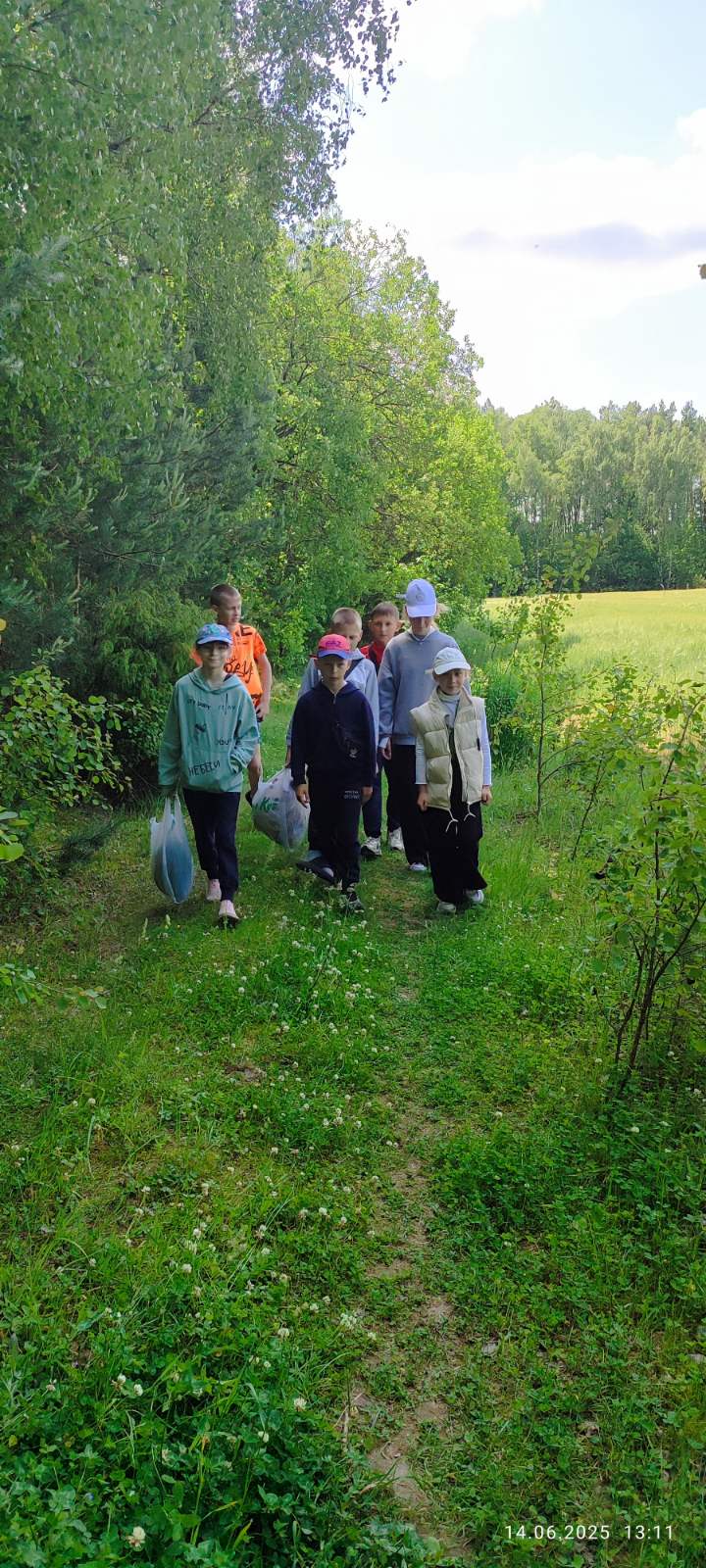 изображение viber 2025 06 14 16 49 49 978