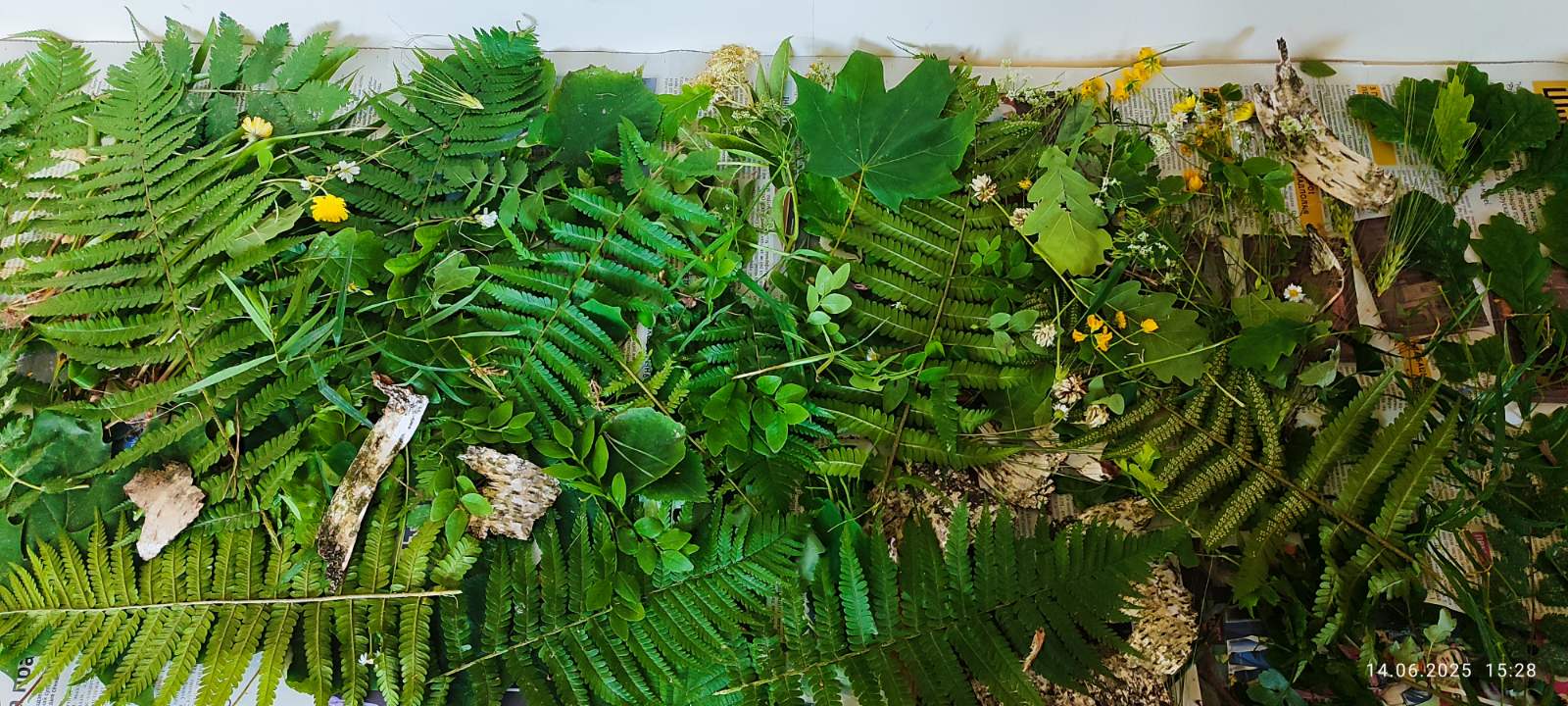 изображение viber 2025 06 14 16 49 50 109