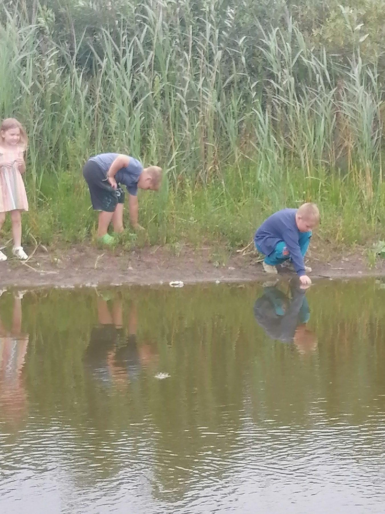 изображение viber 2025 08 10 15 20 40 149