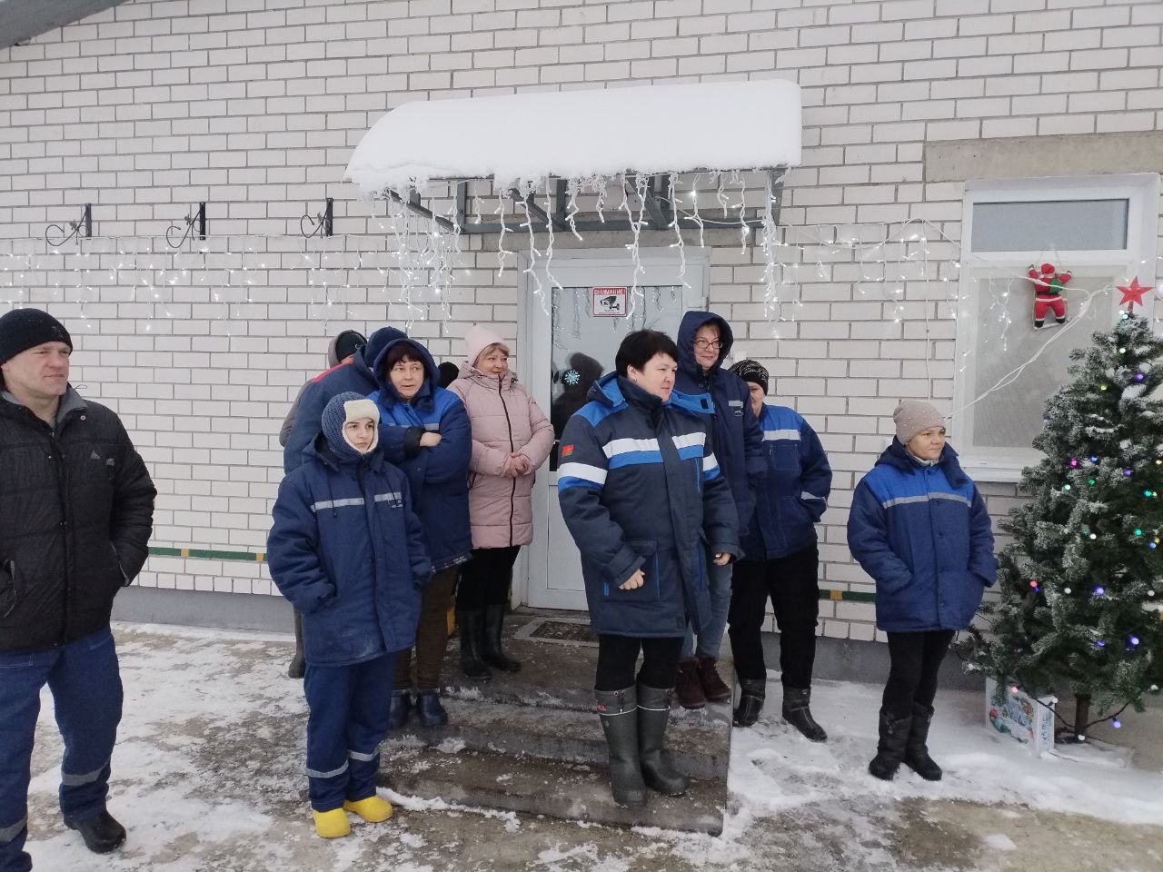 изображение viber 2026 01 08 19 40 09 969