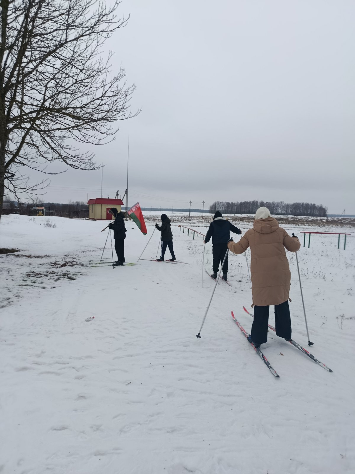 изображение viber 2026 02 14 14 46 54 437