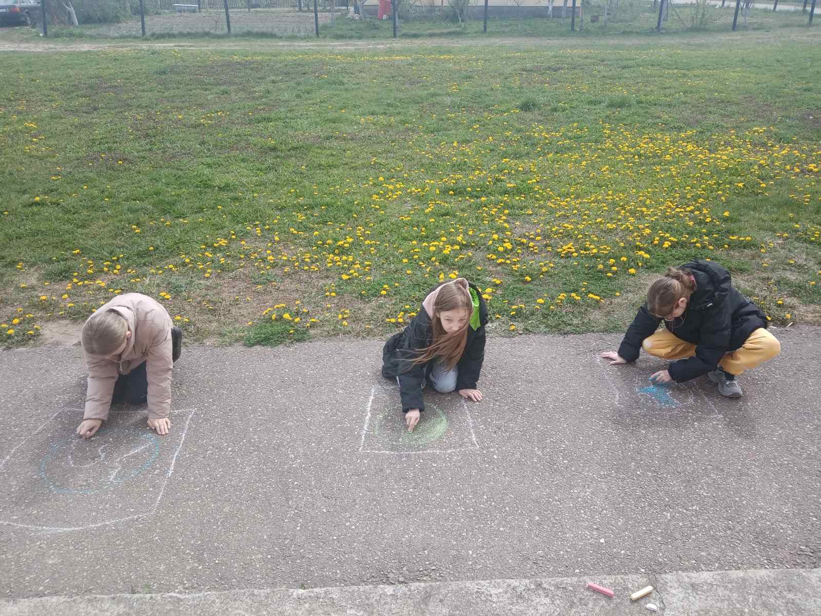 изображение viber 2026 04 25 15 16 30 713