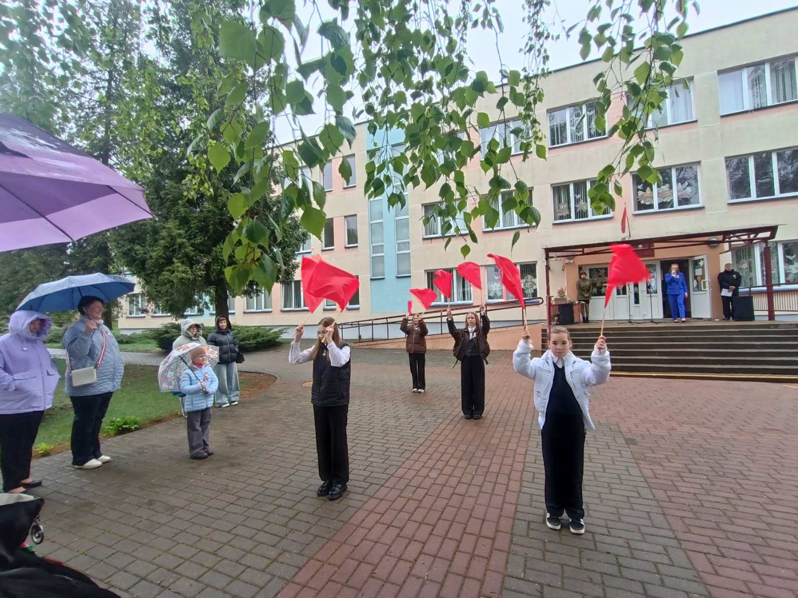изображение viber 2026 05 09 22 24 10 641