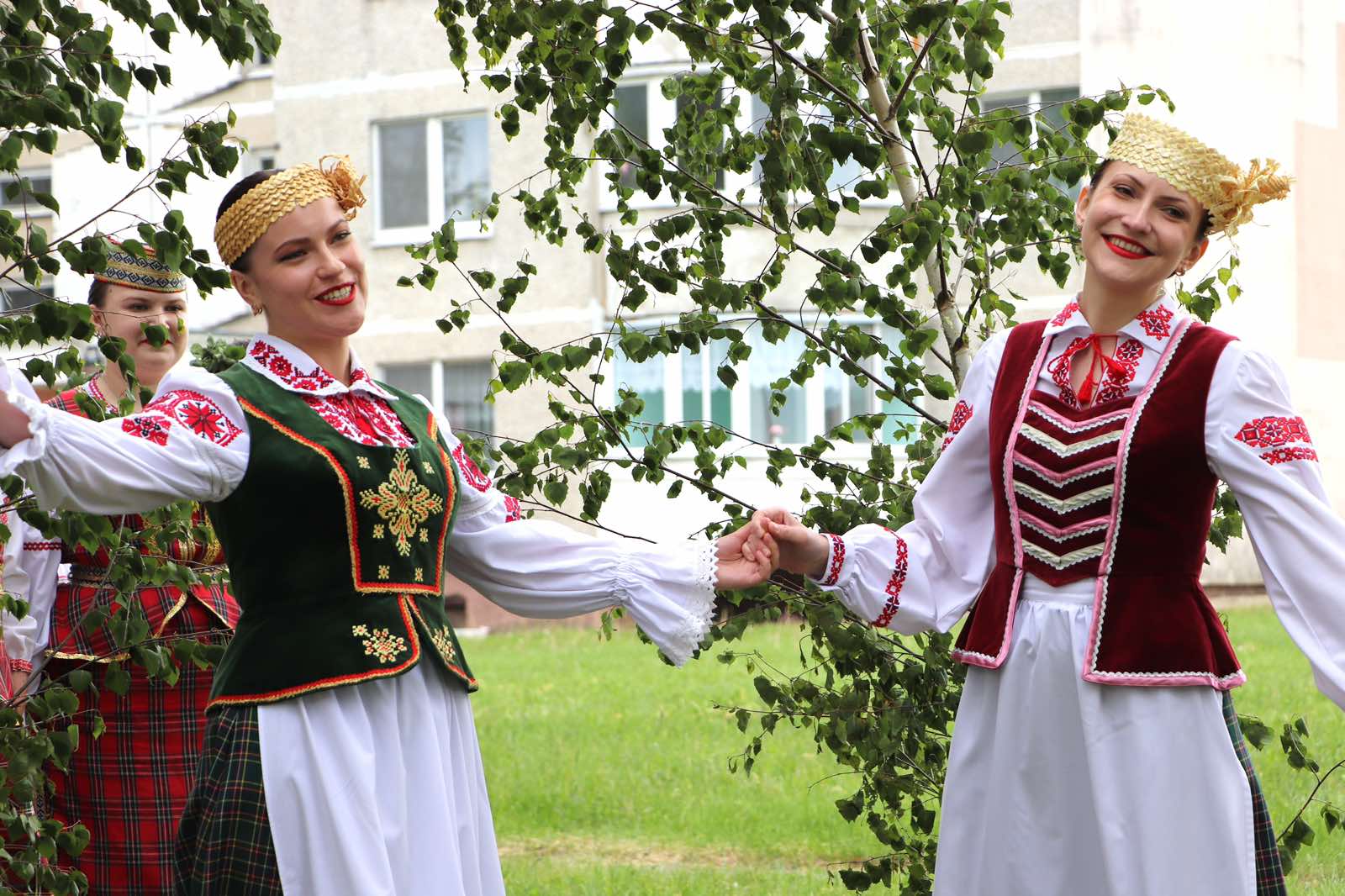 изображение viber 2026 05 31 21 07 13 405