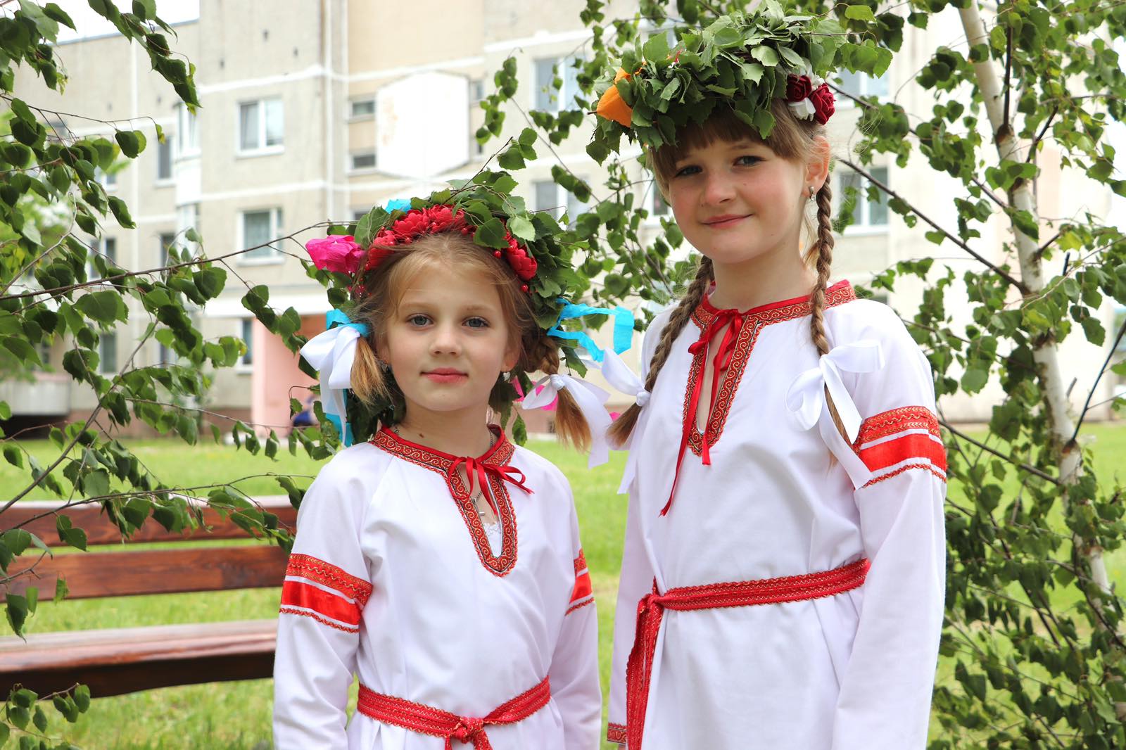 изображение viber 2026 05 31 21 25 44 255